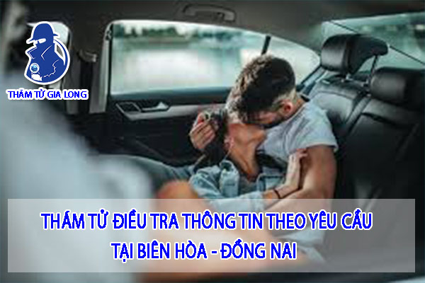 THUÊ THÁM TỬ ĐIỀU TRA THÔNG TIN TẠI BIÊN HÒA - ĐỒNG NAI